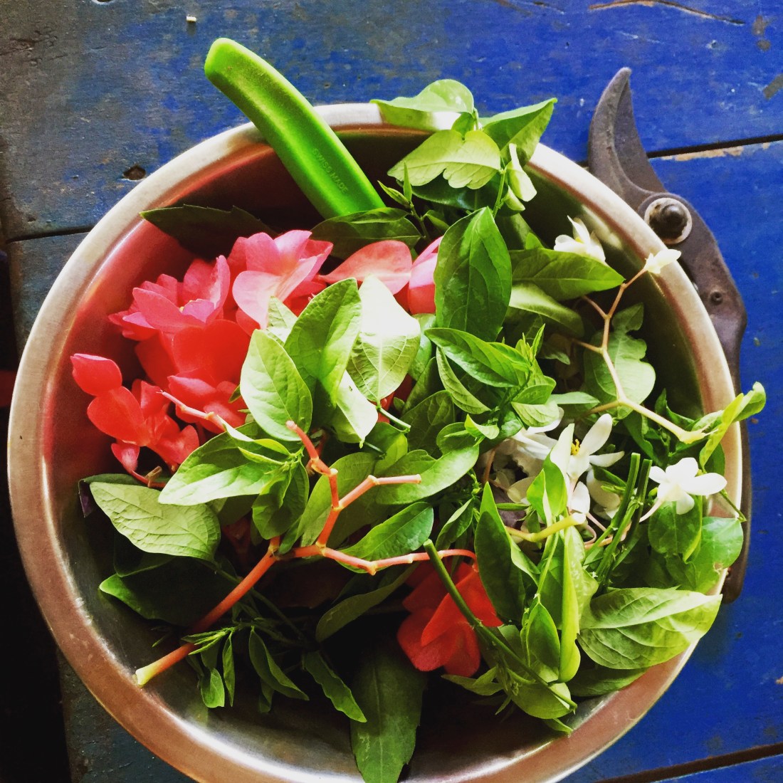 2018-03-27 15.02.35-1