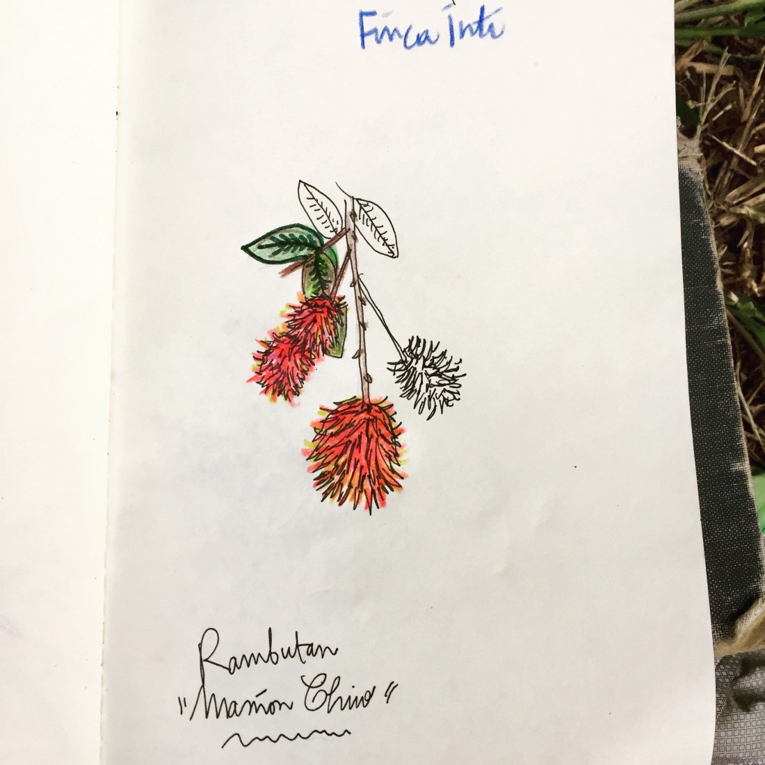 2018-04-03 17.11.43-1