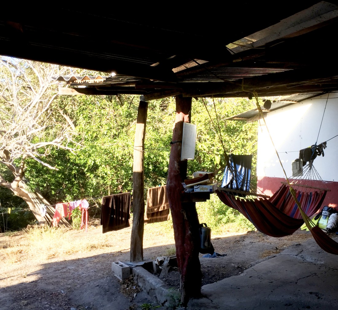 hammacs_afternoon.jpg