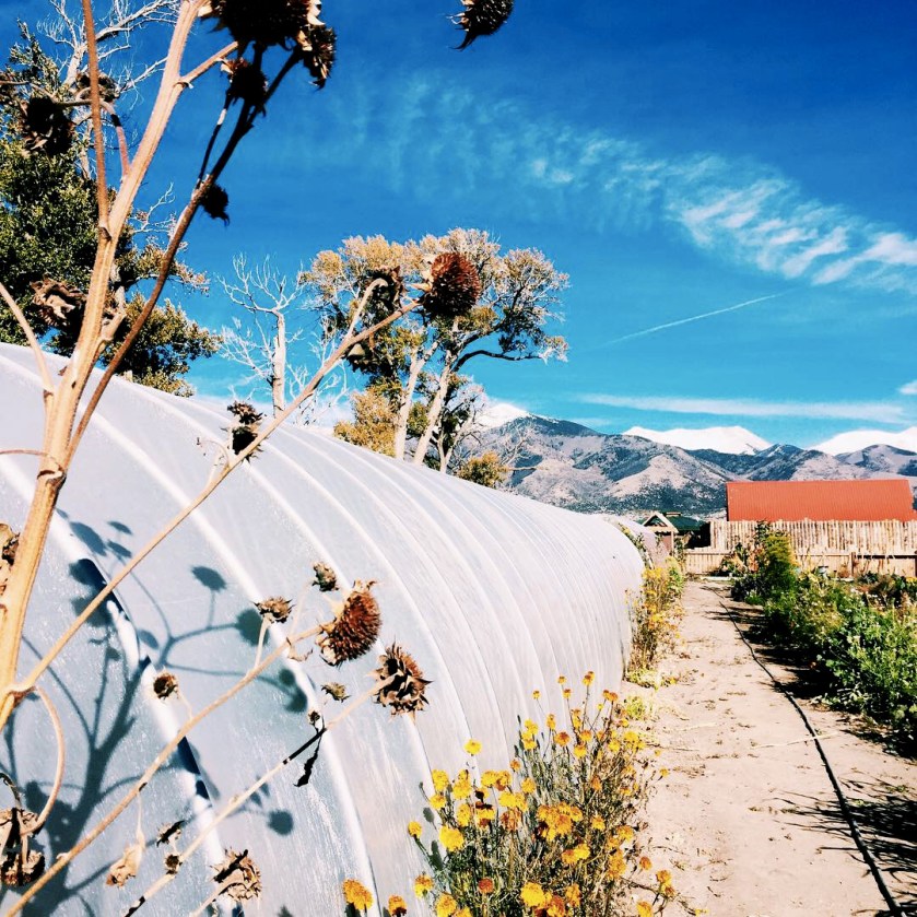 everson-ranch_greenhouse