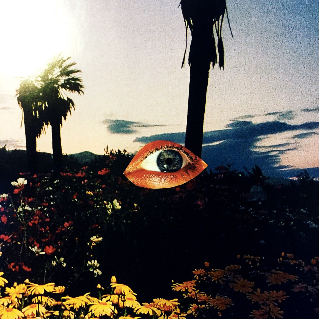manifesto_collage-eye