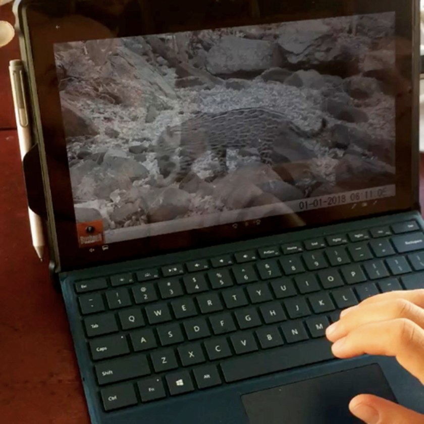 maria jaguar cabuyal