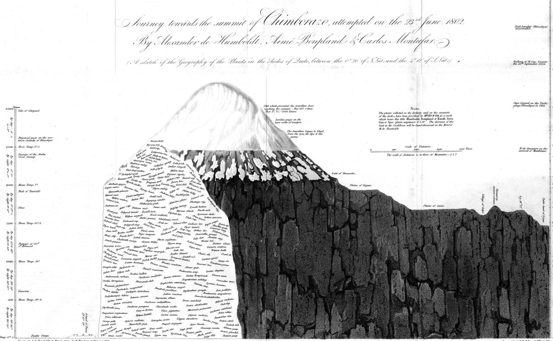 humboldt-profile-chimborazo-1829_webOK
