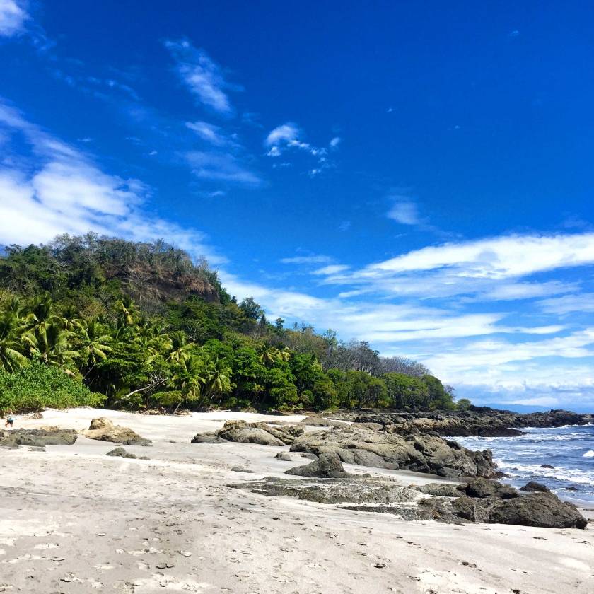 nicoya_playa-jungle.jpg