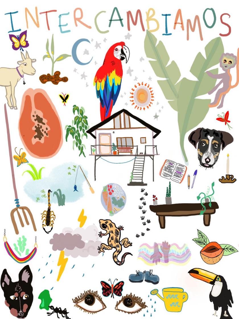 intercambiamos_collage.jpg