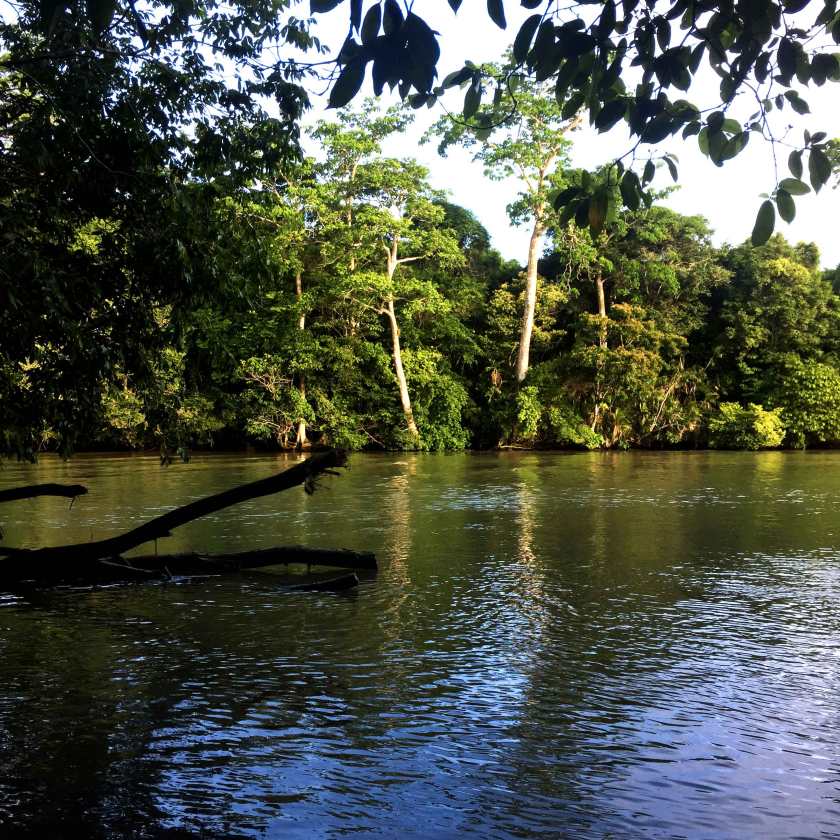 corcovado_crossing_river_web.jpg