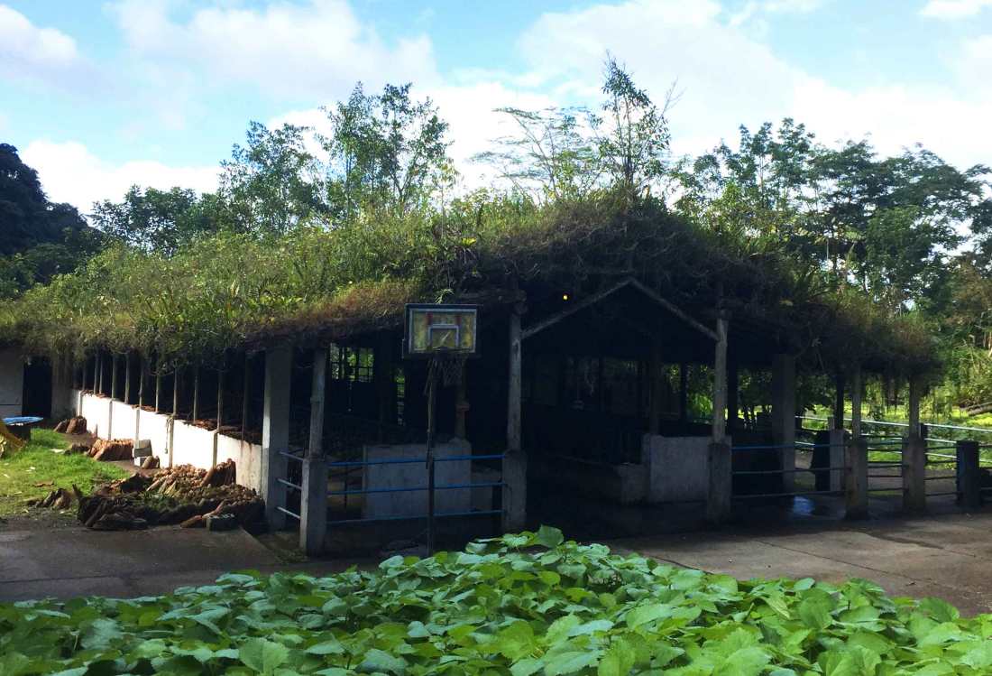 rancho-margot_green-roof