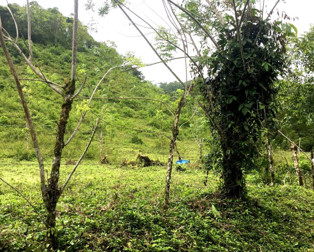 rancho-margot_living-fence