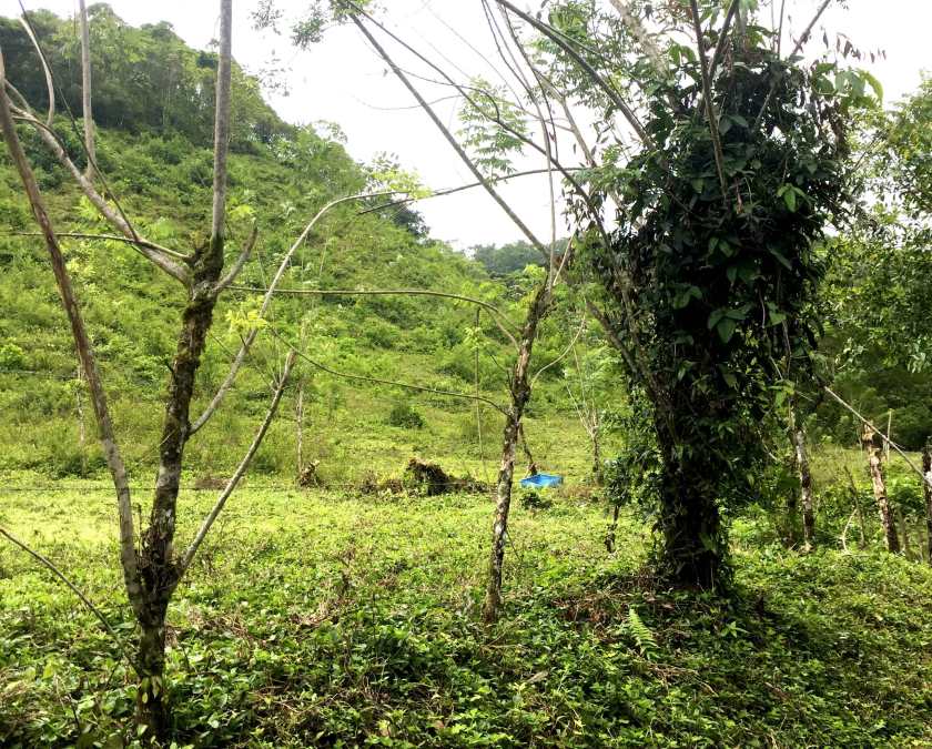 rancho-margot_living-fence