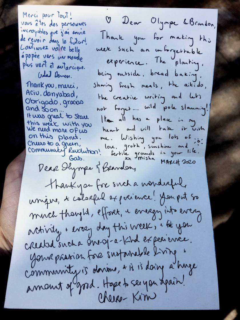 cards-volunteers_web