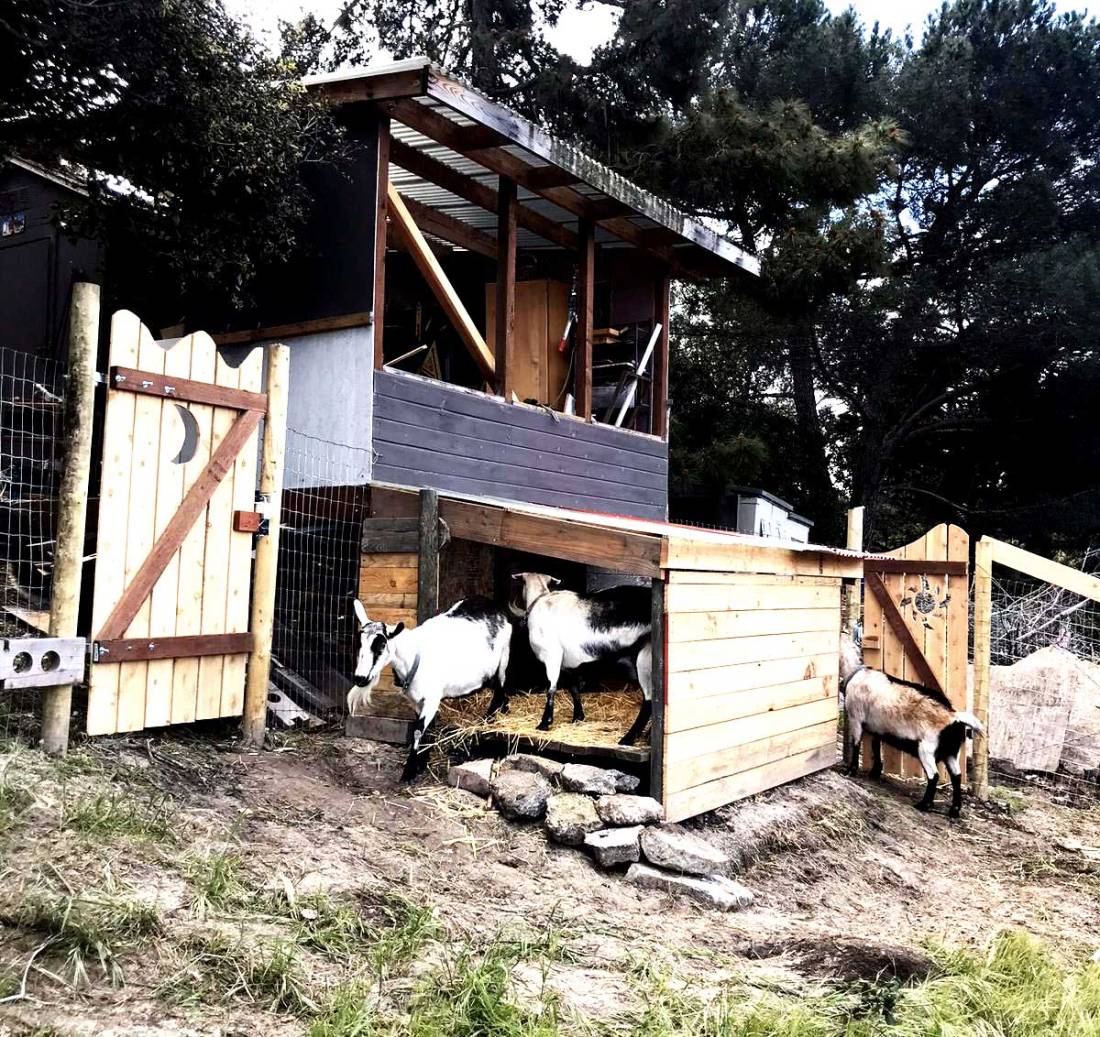 goat-pen_finished_web
