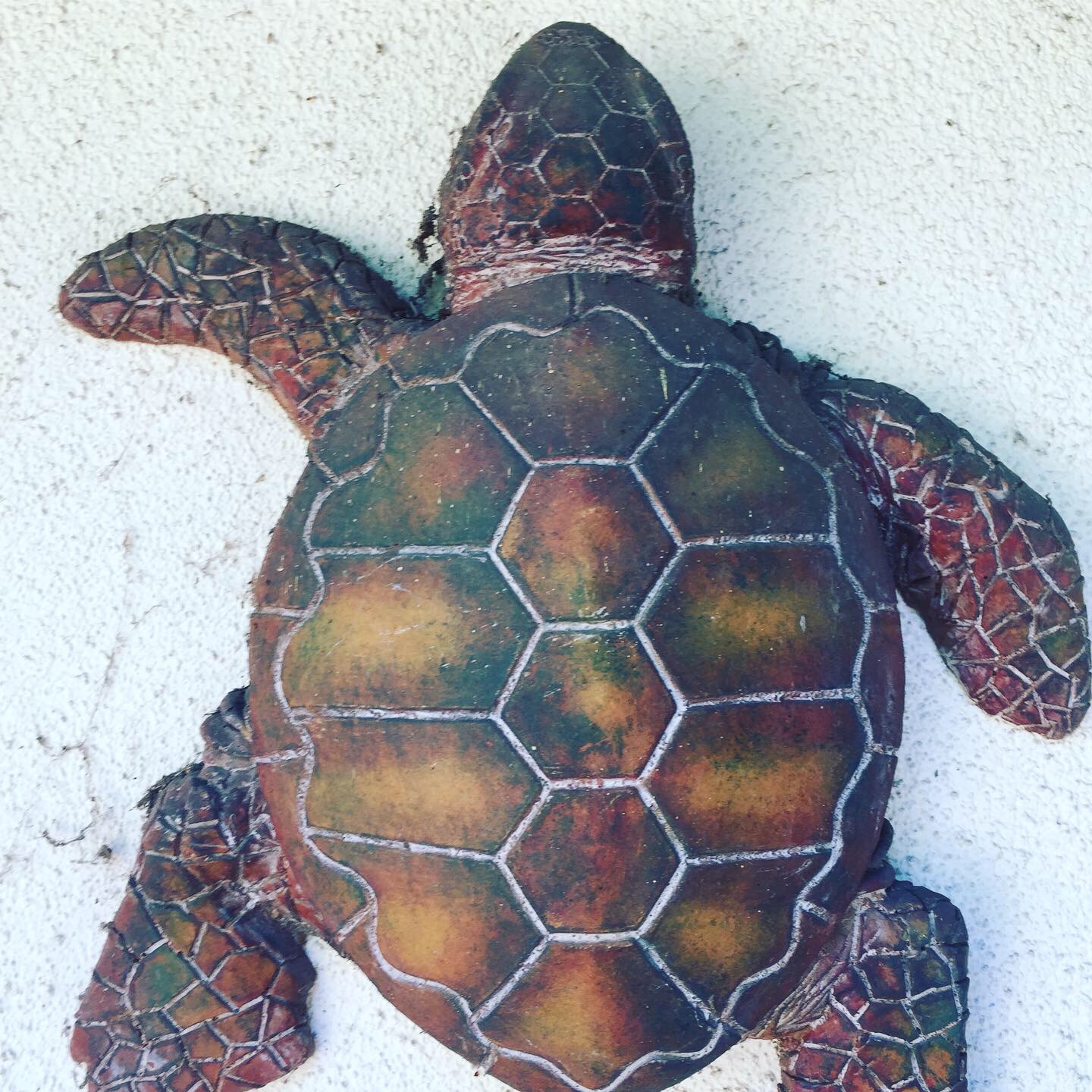 2019-10-23 15.08.53-1